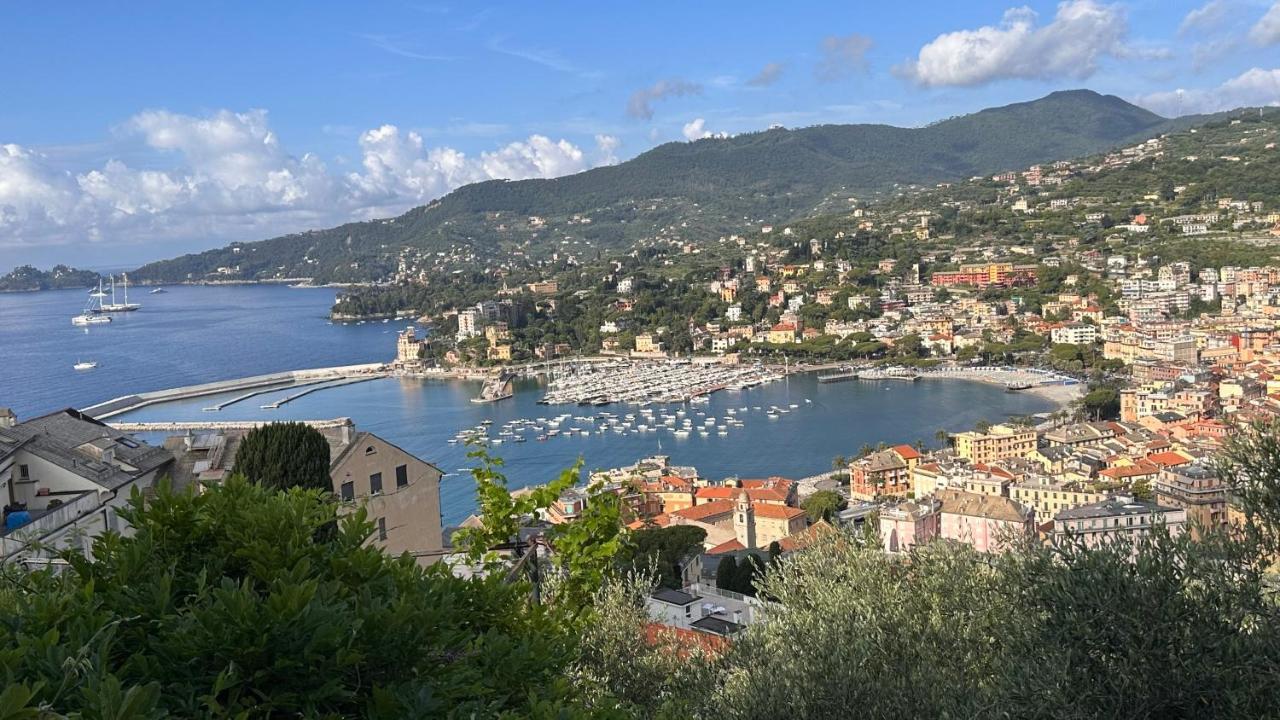 Edens House Con Parcheggio Privato Gratuito Lägenhet Rapallo Exteriör bild